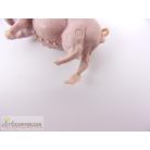 Kicsi méretű háziállatok figuracsomag