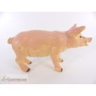 Malac figura