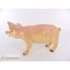 Malac figura
