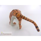 Tigris figura