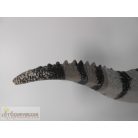 T-Rex Tyranosaurus Rex dinoszaurusz dínó figura