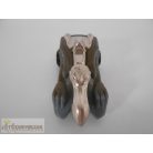 Motor Max Pelican pelikán alakú játékautó