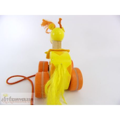 Guruló fajáték csomag