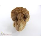  Dinoszaurusz dínó plüss figura