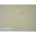 Moshi Monsters My Moshi Home kinyitható házikó 