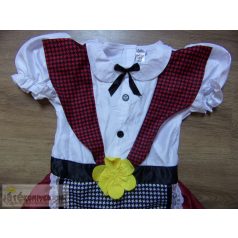 George Welshi vidéki hölgy jelmez szett 7-8 éveseknek