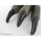 Jurassic World Velociraptor karom jelmezkiegészítő kesztyű