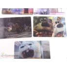 A kis kedvencek titkos élete kártyacsomag