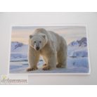 Garfield Állati rekordok 2. matrica