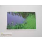 Garfield Állati rekordok 2. matrica