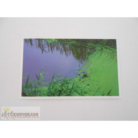 Garfield Állati rekordok 2. matrica