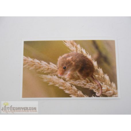 Garfield Állati rekordok 2. matrica