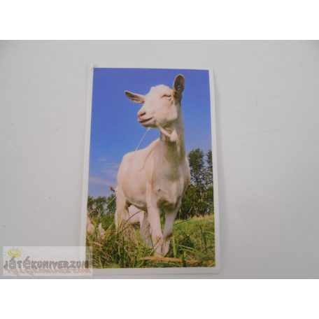 Garfield Állati rekordok 2. matrica