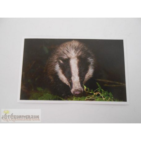 Garfield Állati rekordok 2. matrica