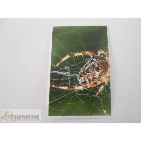 Garfield Állati rekordok 2. matrica