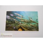 Garfield Állati rekordok 2. matrica