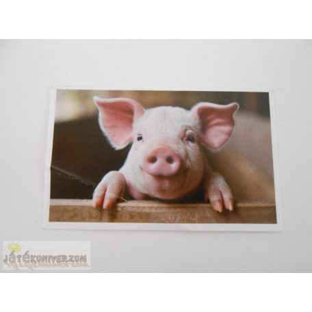 Garfield Állati rekordok 2. matrica