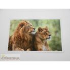 Garfield Állati rekordok 2. matrica