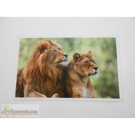 Garfield Állati rekordok 2. matrica