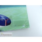 LEGO Creator Mélytengeri lények összerakási útmutató (31088)