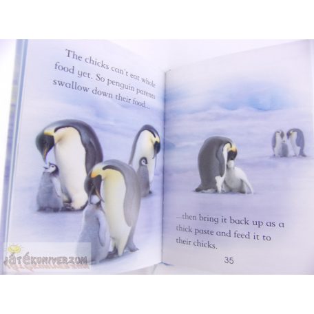 Penguins képes könyv