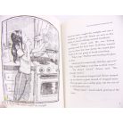 The Spiderwick Chronicles 3. Lucindas secret fantasy könyv