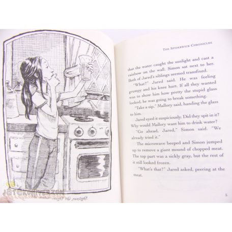 The Spiderwick Chronicles 3. Lucindas secret fantasy könyv