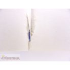 Storm the Lightning Fairy könyv