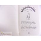 Storm the Lightning Fairy könyv