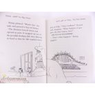 Storm the Lightning Fairy könyv