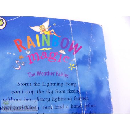 Storm the Lightning Fairy könyv