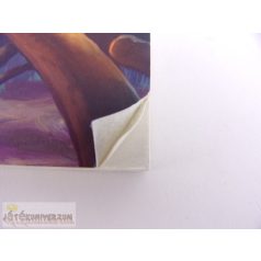 Fira and the Full Moon könyv