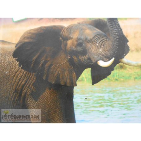 Csodálatos világ Elefántok képeskönyv