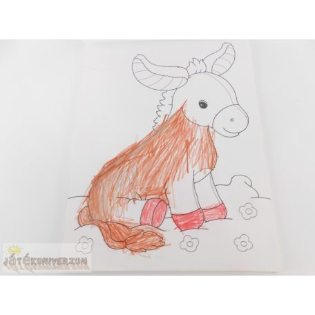 Kifestőkönyv csomag