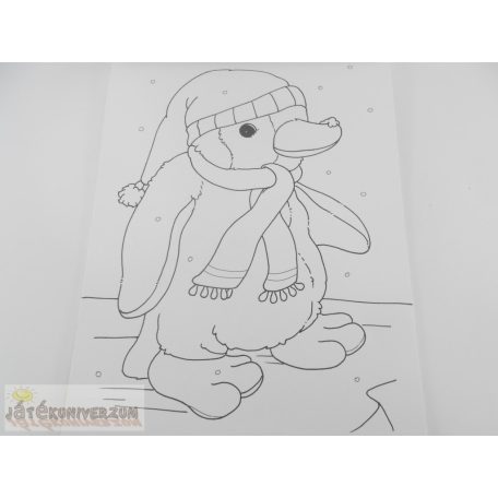 Kifestőkönyv csomag