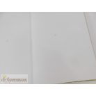 Tudod-e? Érdekességek az emberiség történelméből képeskönyv