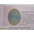 Tudod-e? Érdekességek az emberiség történelméből képeskönyv