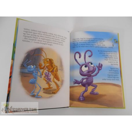 Egy bogár élete képeskönyv