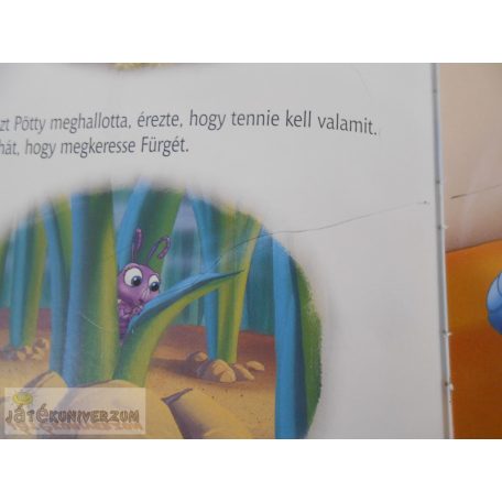 Egy bogár élete képeskönyv