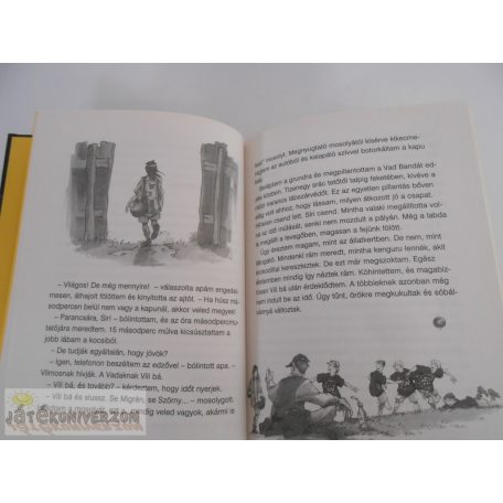 Joachim Masannek A vad focibanda Kitti, a vagány ifjúsági könyv