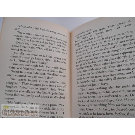 Geraldine McCaughrean Cowboy Jess ifjúsági könyv