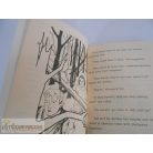 Anthony Masters Tod in Biker City angol nyelvű könyv