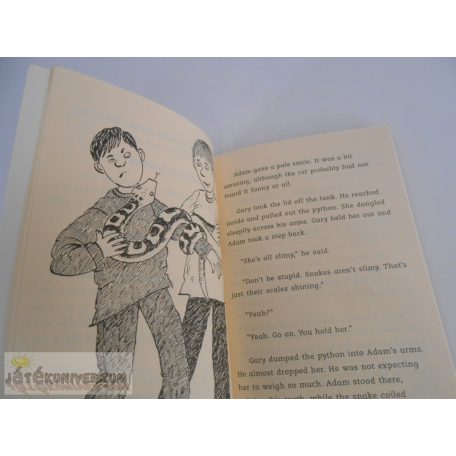 Jeremy Strong Problems with a Python angol nyelvű könyv