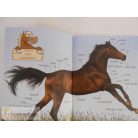 Krajnik Bíró Sára Lovak és pónik képeskönyv