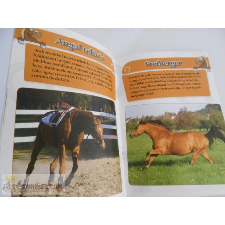 Krajnik Bíró Sára Lovak és pónik képeskönyv