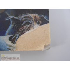   D Clayton B On, E Johns Under the Bomber's Moon and Other Stories angol nyelvű gyermekkönyv