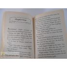 Kate McMullan Dragon Slayers' Academy: Class Trip to the Cave of Doom angol nyelvű gyermekkönyv