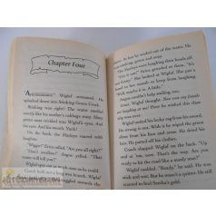   Kate McMullan Dragon Slayers' Academy: Class Trip to the Cave of Doom angol nyelvű gyermekkönyv