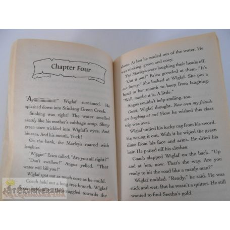 Kate McMullan Dragon Slayers' Academy: Class Trip to the Cave of Doom angol nyelvű gyermekkönyv