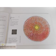   Klaus Holitzka La fuerza de los mandalas A mandalák ereje színező könyv